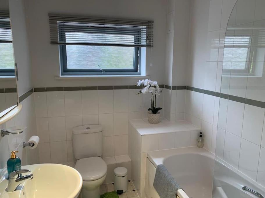 Brownberry Tree Serviced Apartment CBG Buitenkant foto